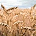 Is there an index fund for commodities?