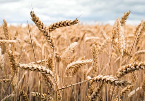 Is there an index fund for commodities?